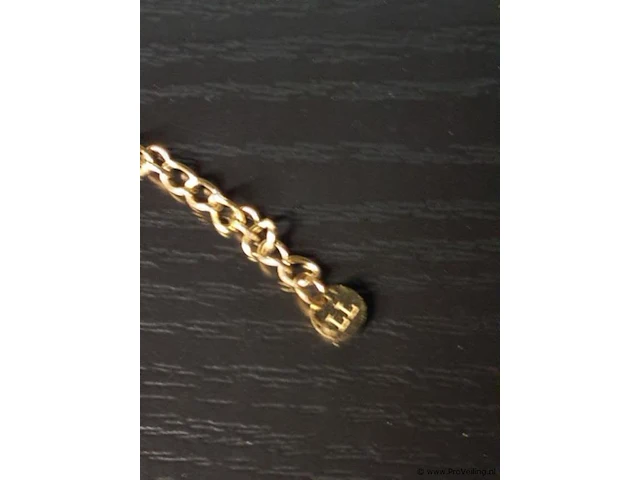 Sieraden bestaande uit o.a. schakelketting met harthanger, oorbellen & armband - afbeelding 6 van  10