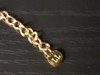 Sieraden bestaande uit o.a. schakelketting met harthanger, oorbellen & armband - afbeelding 6 van  10