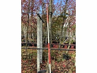 Sierkers - sierboom - afbeelding 2 van  2