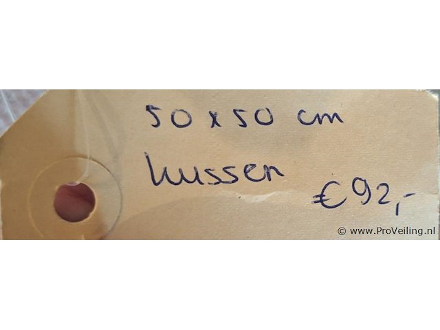 Sierkussen - 50x50cm - afbeelding 2 van  2