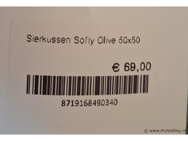 Sierkussen rapios olive - afbeelding 2 van  2