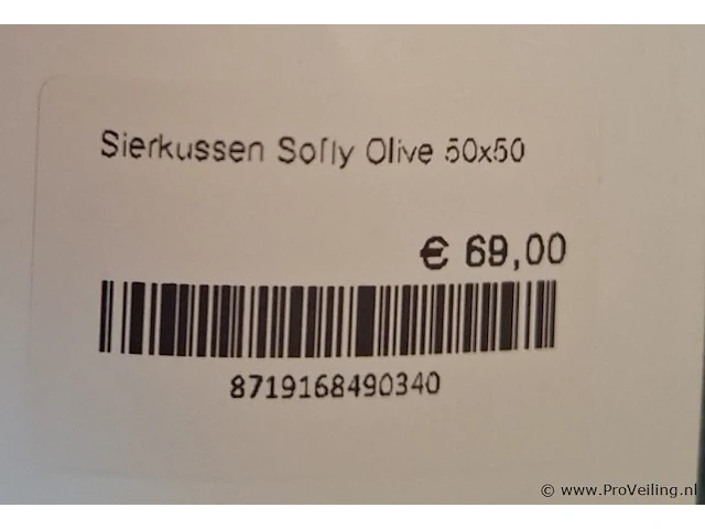 Sierkussen rapios olive - afbeelding 2 van  2