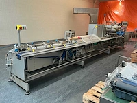 Sig pack hbm verpakkingslijn / enkelstuk verpakking - afbeelding 12 van  51