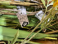 Silka, art en emerald kunstbloemen - afbeelding 2 van  10