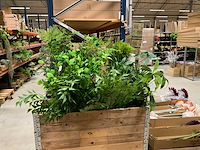 Silka en art kunsttakken - afbeelding 1 van  6