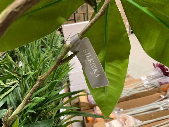 Silka en art kunsttakken - afbeelding 2 van  6