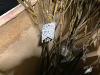 Silka en art kunsttakken - afbeelding 3 van  6