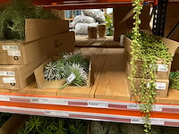 Silka en art kunsttakken - afbeelding 2 van  13