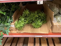 Silka en art kunsttakken - afbeelding 4 van  13