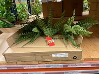 Silka en art kunsttakken - afbeelding 11 van  13