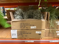 Silka en art kunsttakken - afbeelding 12 van  13