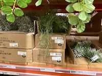 Silka en art kunsttakken - afbeelding 13 van  13