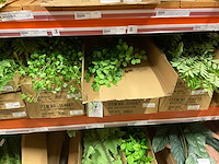 Silka en art kunsttakken - afbeelding 4 van  18