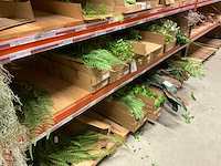 Silka en art kunsttakken - afbeelding 13 van  18