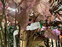 Silka en emerald kunstbloemen op vazen - afbeelding 7 van  9