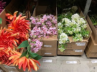 Silka en emerald kunstbloemen - afbeelding 13 van  21