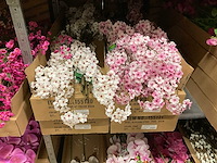 Silka en emerald kunstbloemen - afbeelding 6 van  20