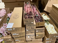 Silka kunstbloemen - afbeelding 5 van  10