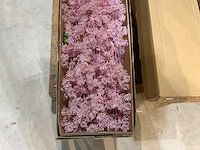 Silka kunstbloemen - afbeelding 6 van  7