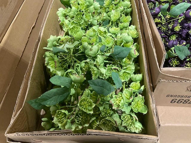 Silka kunstbloemen - afbeelding 12 van  14