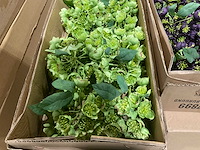 Silka kunstbloemen - afbeelding 12 van  14