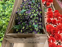 Silka kunstbloemen - afbeelding 13 van  14