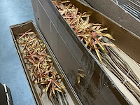 Silka maple leaf kunstbloemen - afbeelding 4 van  6