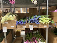 Silke en art kunstbloemen - afbeelding 1 van  9