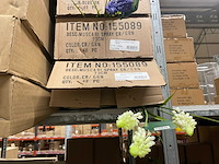 Silke en art kunstbloemen - afbeelding 8 van  9