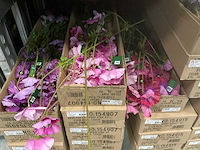 Silk_ka kunstbloemen - afbeelding 11 van  11