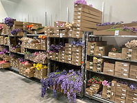 Silk_ka kunstbloemen