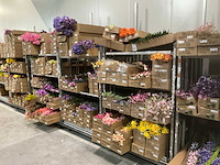 Silk_ka kunstbloemen