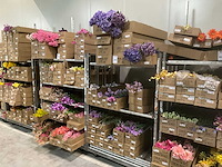 Silk_ka kunstbloemen