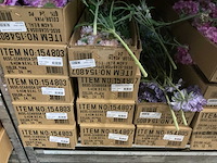 Silk_ka kunstbloemen - afbeelding 9 van  9