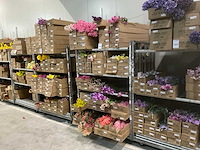 Silk_ka kunstbloemen