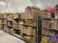 Silk_ka kunstbloemen