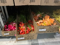 Silk_ka kunstbloemen - afbeelding 7 van  8