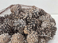 Silvester cone white wash zak dennenappels (92x) - afbeelding 3 van  6