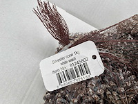 Silvester cone white wash zak dennenappels (92x) - afbeelding 4 van  6