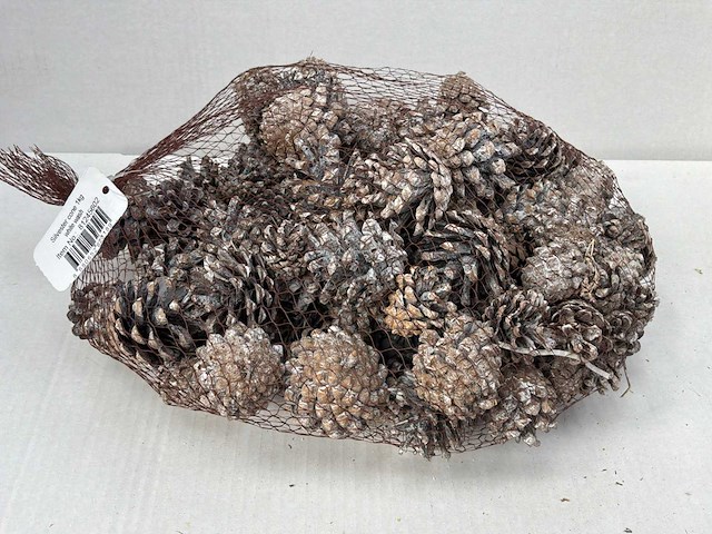 Silvester cone white wash zak dennenappels (92x) - afbeelding 1 van  3
