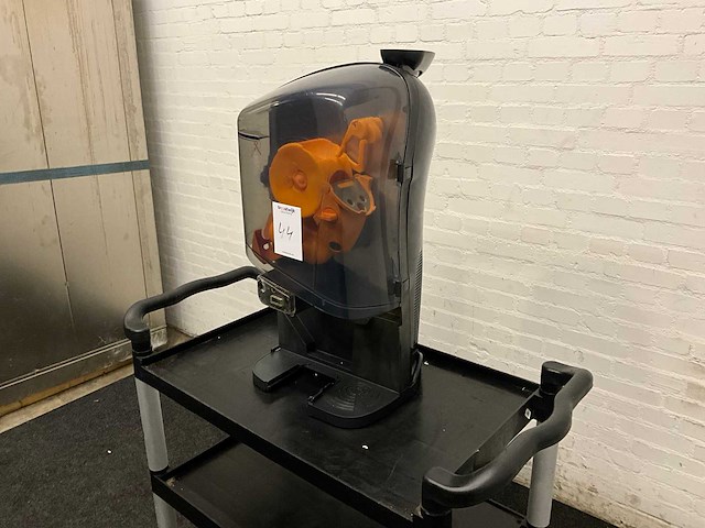 Sinaasappelpers - afbeelding 6 van  10