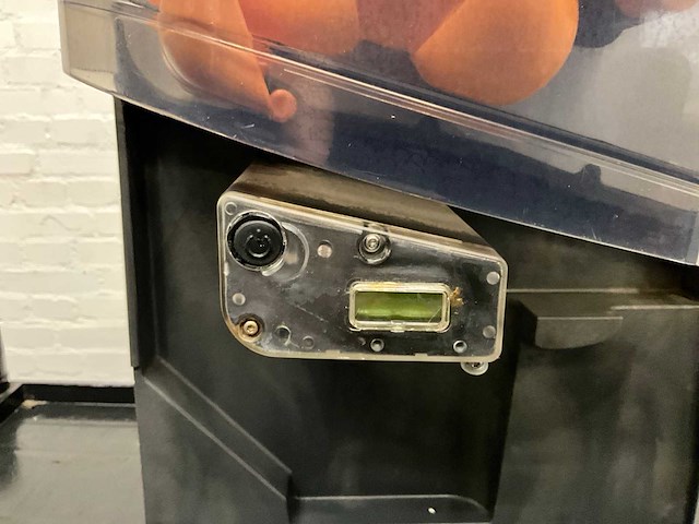 Sinaasappelpers - afbeelding 7 van  10