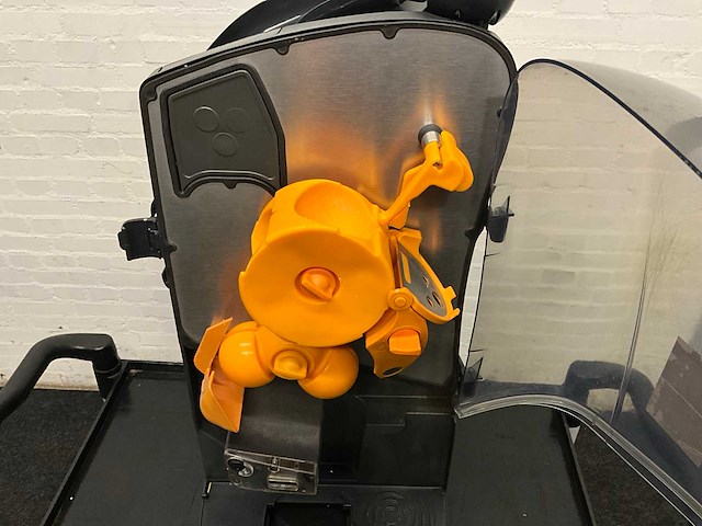 Sinaasappelpers - afbeelding 9 van  10