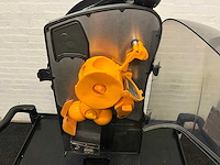 Sinaasappelpers - afbeelding 9 van  10