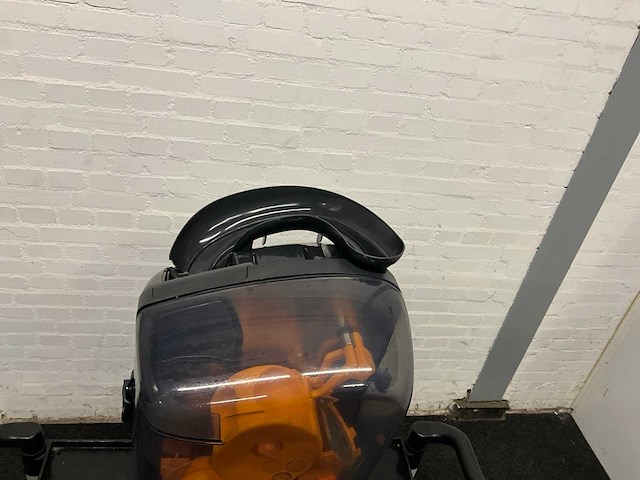 Sinaasappelpers - afbeelding 10 van  10