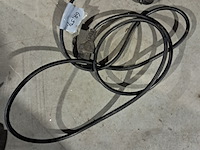 Sinasappel pers, maxima, maj-25 - afbeelding 9 van  11