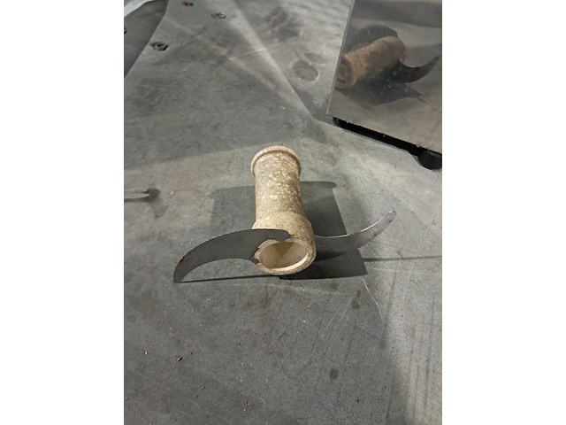 Sinasappel pers, maxima, maj-25 - afbeelding 10 van  11