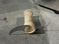 Sinasappel pers, maxima, maj-25 - afbeelding 10 van  11