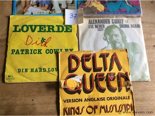 Single divers 7stuks - afbeelding 3 van  3