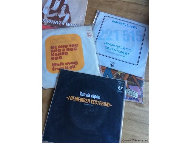 Single lot - afbeelding 2 van  2